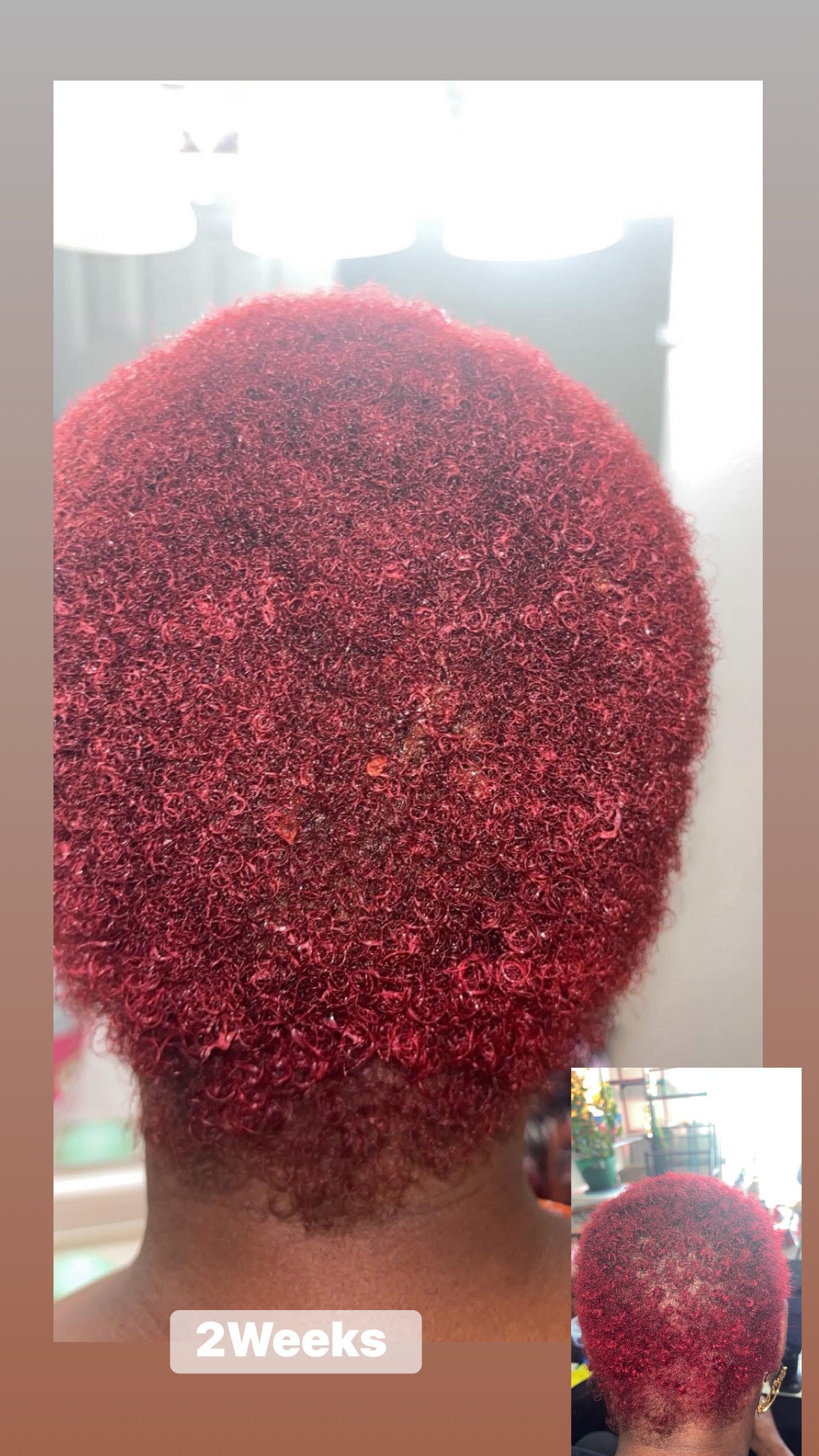 Herbal Hair Growth Oil Soft Crown